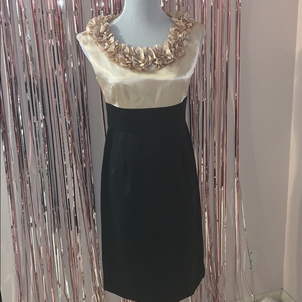 Women’s Black & Cream Dress sz 6